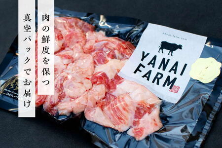 《佐賀牛》梁井 コラーゲンたっぷり スジ肉盛り合わせ 1kg K081031