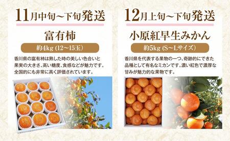 【定期便全4回】フルーツ定期便 (瀬戸ジャイアンツ さぬきゴールド 富有柿 小原紅早生みかん)【旬 人気 果物 くだもの マスカット キウイ 柿 みかん 香川県 】