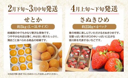 【定期便全10回】フルーツ定期便  (さぬきひめ 桃 ニューピオーネ シャインマスカット さぬきゴールド 柿 小原紅早生みかん デコポン せとか)【苺 いちご 葡萄 ぶどう キウイ 旬 人気 果物 くだもの 柑橘 フルーツ 香川県】