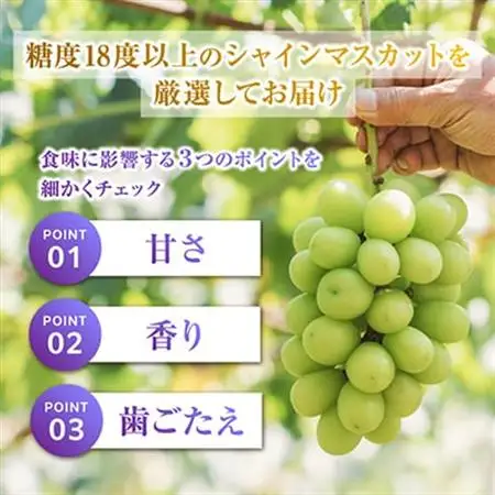 2026年発送 フルーツ王国山梨産厳選 シャインマスカット 3～4房(約1.5kg)【配送不可地域：離島】【1501767】