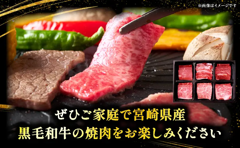 宮崎県産黒毛和牛(経産)6種焼肉セット 600g
