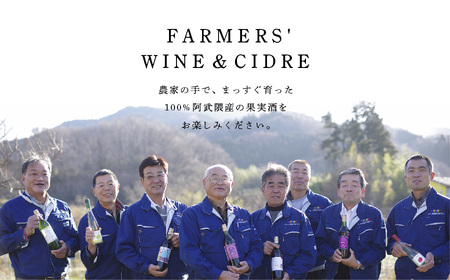 ワイン 幻のシードル・スパークリングワインセット 500ml×3本【ふくしま農家の夢ワイン株式会社】