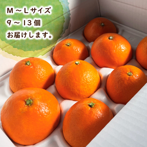 【2026年12月頃から順次発送】 愛果28号 (家庭用) 約2kg | みかん 柑橘 あいか 蜜柑 みかん 愛媛県 松山市【SKE001】