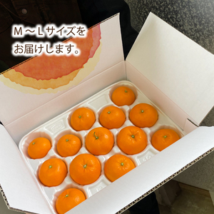 【2026年12月頃から順次発送】はれひめ (家庭用) 約2kg | みかん 柑橘 はれひめ 蜜柑 みかん 愛媛県 松山市【SKE002】