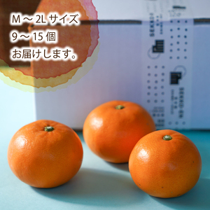 【2027年3月頃から順次発送】 せとか (家庭用) 約2kg |  みかん 柑橘 せとか  蜜柑 みかん 雪幸園 愛媛県 松山市【SKE003】