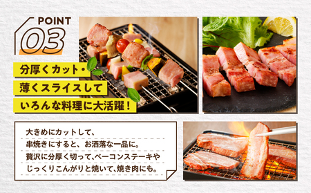 原形ベーコンブロック 約3kg K161-019_03 肉 豚肉 惣菜 総菜
