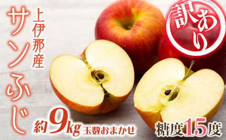 訳あり 先行予約 りんご サンふじ 選べる 4.5kg 9kg フルーツ 果物 傷 規格外 秋 冬 旬 旬のフルーツ 旬の果物 産地直送 信州 長野県産 おやつ デザート スイーツ リンゴ 長野県 2024 2024年 令和6年度発送分