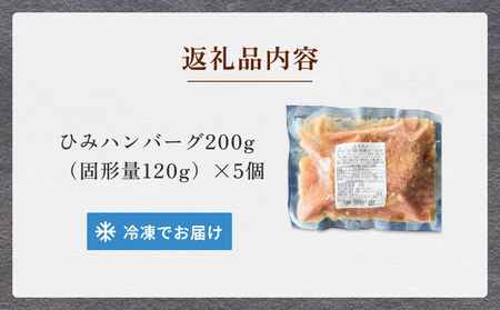 ひみハンバーグ 5個 ｜ ソース付き ミートソース 氷見牛 ブランド牛 国産 柔らか ハンバーグ 湯煎 冷凍 おかず 惣菜 温めるだけ 簡単調理 お取り寄せ 小分け 5個 富山