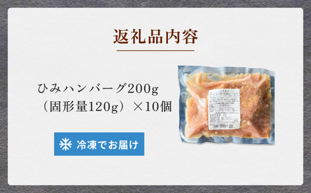 ひみハンバーグ 10個 ｜ ソース付き ミートソース 氷見牛 ブランド牛 国産 柔らか ハンバーグ 湯煎 冷凍 おかず 惣菜 温めるだけ 簡単調理 お取り寄せ 小分け 10個 富山 柔らか