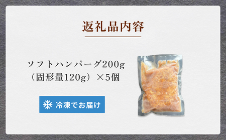 ソフトハンバーグ 5個 ｜ ソース付き ミートソース 柔らか ハンバーグ 湯煎 冷凍 おかず 惣菜 温めるだけ 簡単調理 お取り寄せ 小分け 5個 富山 氷見 