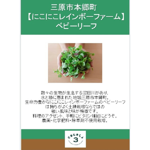 【栽培期間中無農薬】野菜のプロが選ぶ. 旬の野菜・卵・天然塩  全５～７品詰め合わせセット（レシピ付き） 野菜 塩 卵 たまご 有機農家  野菜セット オーガニック レシピ 広島県 三原市 佐木島 083001