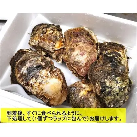 山陰の天然岩ガキ詰合せ(大きさにより5～7個入)　牡蠣は殺菌済　下処理済　生食OK　バーベキュー【配送不可地域：離島・北海道・沖縄県・東北】【1114074】