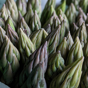 うえの農園の無添加アスパラ茶 2個セット | お茶 ティーパック2.5g×16個 国産 栃木県産 アスパラ アスパラガス　※離島への配送不可