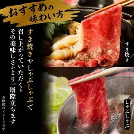 飛騨牛5等級ロース・すき焼きしゃぶしゃぶ用 800g【配送不可地域：離島】【1043499】
