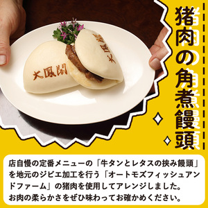 衝撃一品！中華料理 大鳳閣 猪肉の角煮饅頭 (計4個) 角煮まん 肉 ジビエ イノシシ 肉まん 中華まん パン おやつ おつまみ おかず お惣菜 冷凍 大分県 佐伯市【AB221】【柳井商店】