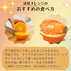 【先行予約】 秀優品 清見オレンジ 5kg 【S～３Lサイズ混合】【2027年3月中旬から2027年4月中旬頃に順次発送】/みかん 清見 和歌山 フルーツ 有田 果物 オレンジ 甘い ジューシー【agy011-r-5】