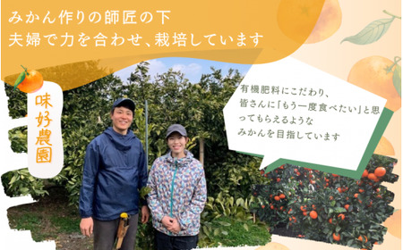 【先行予約】秀優品 八朔 10kg 【M～３Lサイズ混合】【2027年2月上旬から2027年4月中旬頃に順次発送】＜味好農園＞/ はっさく 八朔 ハッサク 柑橘 果物 フルーツ  みかん 美味しい ジューシー【agy021-r-10】