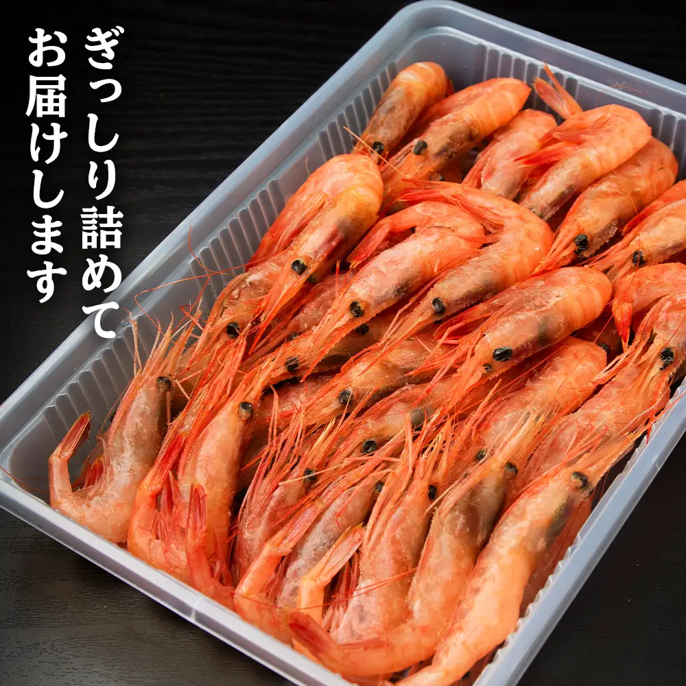 甘海老 北海道 虎杖浜産 約600g AA032