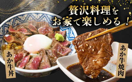 【6回定期便】GI認証 くまもとあか牛 焼肉用 約500ｇ【山鹿市（桜屋）】[ZBO063]