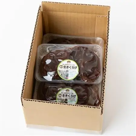 【農福連携】千葉県館山産 生きくらげ100g×4パック 就労継続支援A/B型併用事業所「ゆみの里」【配送不可地域：離島】【1486711】