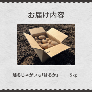 【先行受付】【2026年4月より順次発送】北海道十勝芽室町　なまら十勝野　越冬じゃがいも　はるか　5kg　芋 ジャガイモ ポテト イモ いも 産地直送 新鮮 野菜 常温配送 送料無料 北海道 十勝 芽室町me001-028c