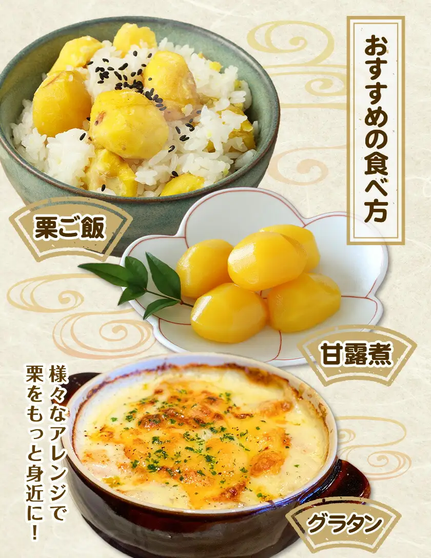菊池水源産 さのまろん 冷凍剥き栗 内容量 約800g 農事組合法人菊池佐野《30日以内に出荷予定(土日祝除く)》熊本県 菊池市 栗 むき栗 筑波 冷凍 熊本県産 九州産 国産 送料無料