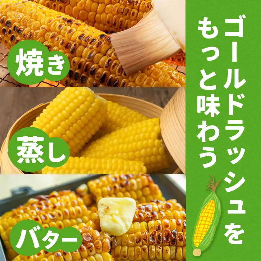 とうもろこし約4kg老沼利治《6月中旬-7月中旬頃出荷》とうもろこしスイートコーン