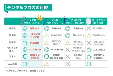 国産 フロスハンドル FLOSSTI２ 美容 雑貨 日用品 