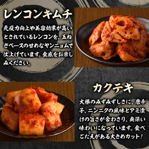 キムチ詰め合わせ(6種) キムチ 白菜 チーズ カクテキ するめ スルメ やまいも 山芋 れんこん レンコン 蓮根 手作り ヤンニョム 漬物 つけもの 漬け物 ご飯のお供 ごはんのお供 おつまみ 晩酌 おかず 加工品 冷蔵【直美家】as27-001