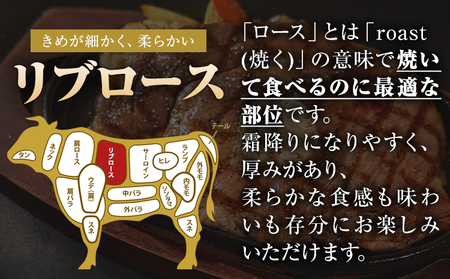 くまもと黒毛和牛 リブロースステーキ 500g ( 250g x 2枚 ) 牛肉 冷凍 《30日以内に出荷予定(土日祝除く)》 くまもと黒毛和牛 黒毛和牛 冷凍庫 個別 取分け 小分け 個包装 ステーキ肉 にも リブロースステーキ