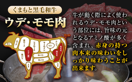 くまもと黒毛和牛 ウデ・モモスライス 2000g (500g×4) 2kg 牛肉 冷凍 《30日以内に出荷予定(土日祝除く)》 くまもと黒毛和牛 黒毛和牛 牛肉 肉 冷凍 個別 取分け 小分け 個包装 モモ スライス 肉 お肉 しゃぶしゃぶ肉 すきやき肉 すき焼き 焼肉 BBQ 美味しい牛肉 熊本牛肉 ジューシー牛肉 贅沢な牛肉 