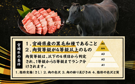 牛肉 宮崎牛 ウデ 赤身 焼肉 700g 牛肉