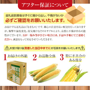 【先行予約】朝採り とうもろこし ゴールドラッシュ 4.8kg (M～Lサイズ×15本)(2026年8月中旬発送) | とうもろこし 北海道 限定_03903