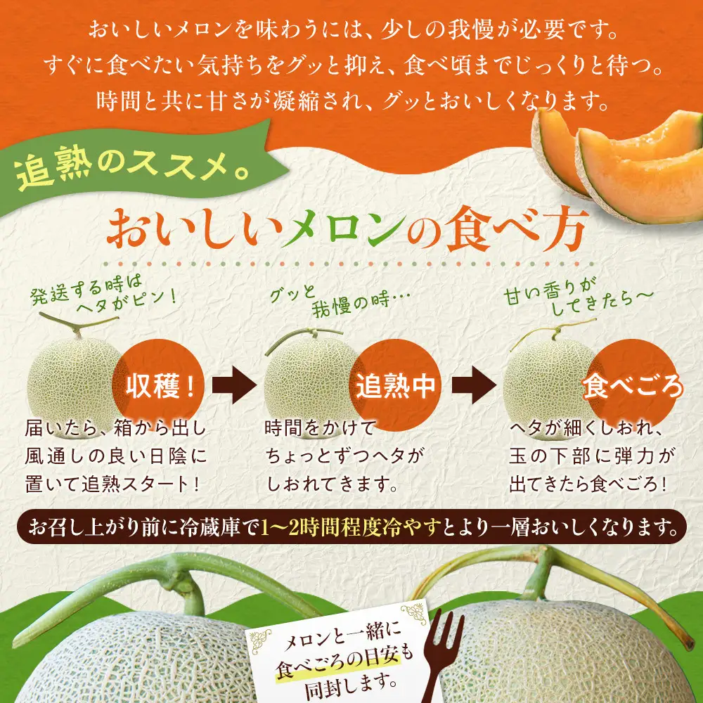 高評価★4.7【先行予約】北海道産赤肉メロン1.3kg×2玉 (2026年7月中旬から発送開始) | メロン_03905