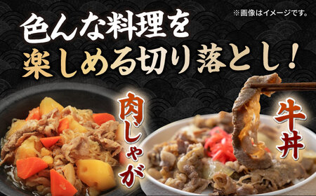 長崎和牛 切り落とし 600g（300g×2パック） [JEP008]切り落とし