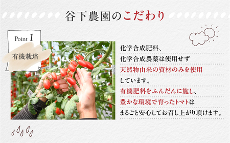 先行予約【2026年7月上旬頃から順次発送】≪有機JAS認証≫ 大玉トマト 約 1kg（6～8玉）（サイズ混合）【61-16】