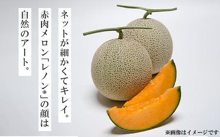【先行予約】レノンハート2個　※離島への配送不可　※2026年5月下旬～6月下旬頃に順次発送予定