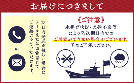 鹿児島産 スライスするだけ！真鯛（マダイ）刺身用 片身分 500g K100-008 魚