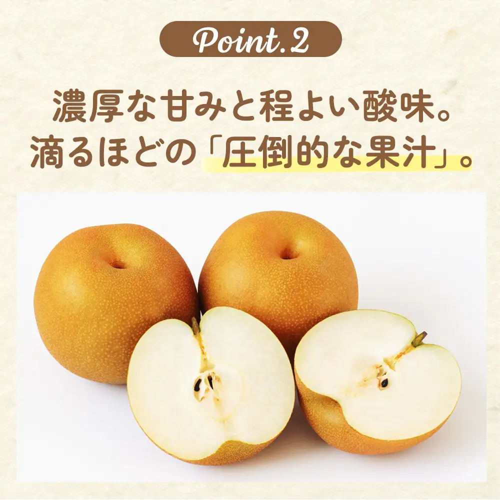 【先行予約】梨(にっこり) 2玉入り×1箱 (内容量1玉900g以上) ※2026年10月上旬～11月下旬頃に順次発送予定