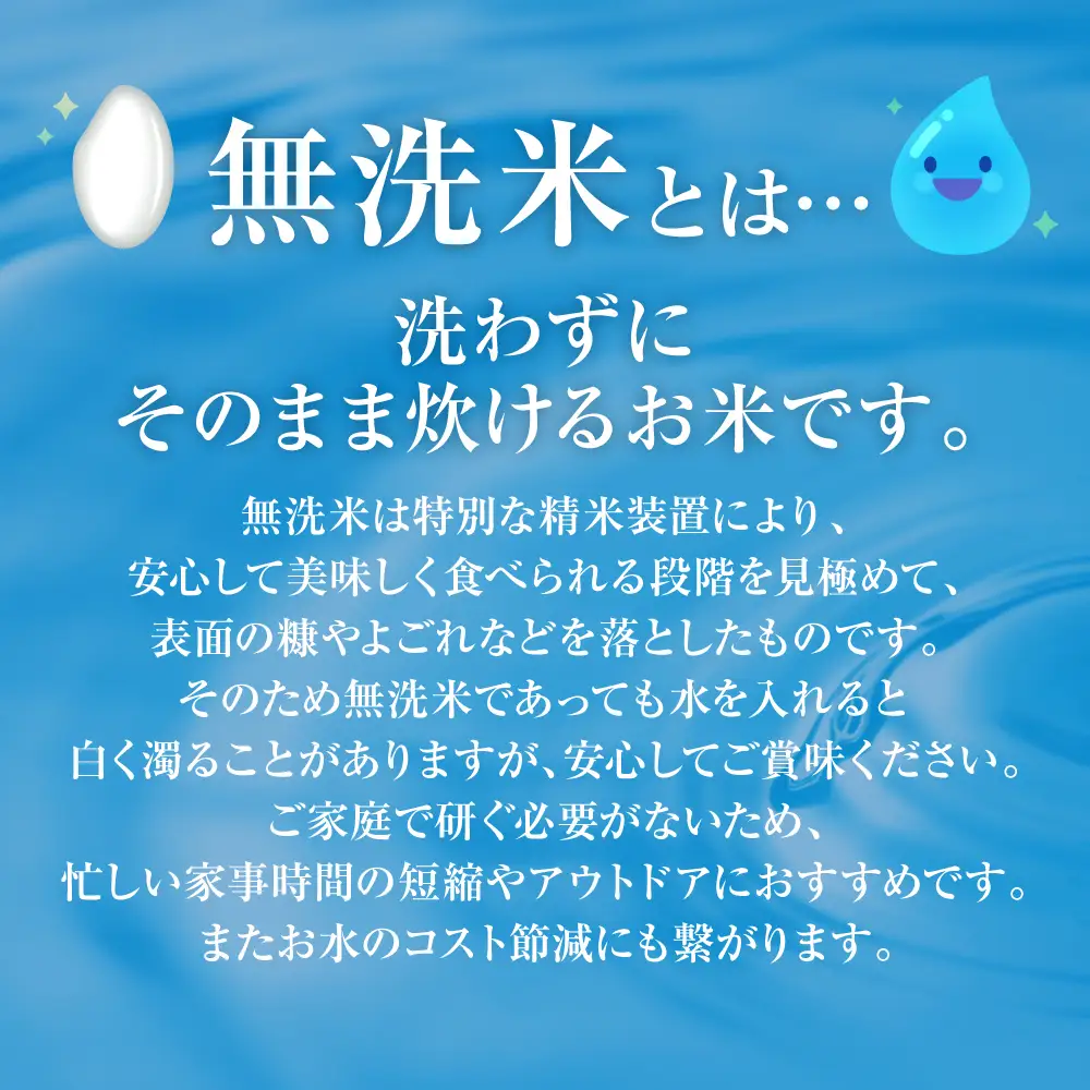 【令和7年産】 熊本県産 無洗米 熊本ひのひかり 5kg (5kg×1袋) 米 お米 精米 白米 ごはん ご飯 熊本