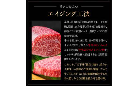 ＜8ヶ月定期便＞ 土佐和牛詰め合わせ8種Aセット（合計3.3kg）