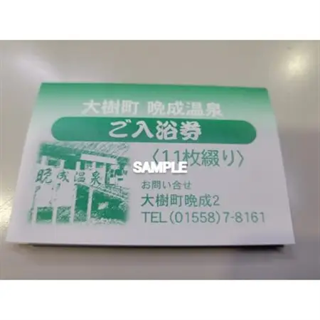 『晩成温泉』御入浴回数券　11枚綴り　1冊_旅行券・チケット  温泉利用券 _【1497431】