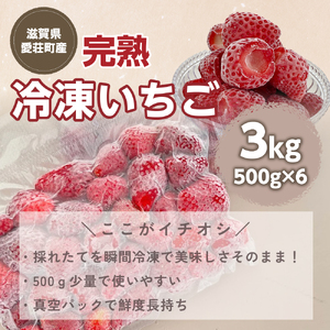 採れたて瞬間冷凍！　滋賀県愛荘町産　冷凍いちご 3kg（500g×6）品種ミックス  BJ06