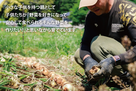 新玉ねぎ 約５kg 有機たまねぎ