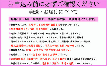 いちご とちおとめ 約400g いちご 【2027年1月~4月発送分】