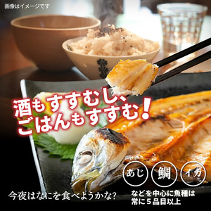 【父の日ギフト】良漁2.3kg!磯武さんの訳あり干物_2410R