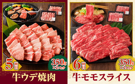 宮崎牛定期便6回（焼肉・すきしゃぶ） 牛肩ロース 牛モモ 牛ウデ 