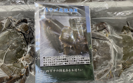 清流 四万十川 天然 モクズガニ 約1kg 濃厚な旨み 大小混合 冷凍 クール 国産 鮮度 魚介類 かに カニ 蟹 つがに ツガニ もくずがに かに汁 だし カニみそ 川ガニ 高知県 四万十市 しまんと 自然 瞬間冷凍 予約 お取り寄せ 25-948