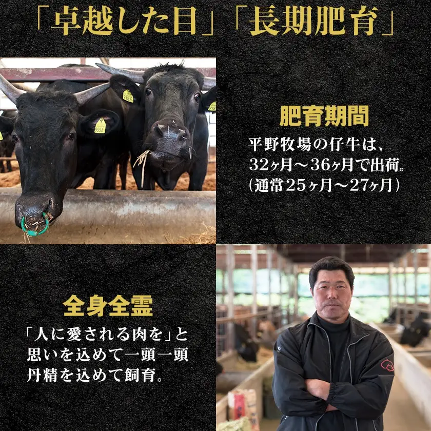【2ヵ月毎定期便】特選和牛(焼肉薩摩の完熟平野幸一之牛)ハンバーグ10個全6回_肉 ハンバーグ 牛肉   定期便 定期便  _【配送不可地域：離島】【4050394】