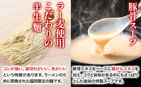 博多とんこつラーメン 5人前(めん×5 スープ×5) 豚骨 とんこつ ラーメン《30日以内に出荷予定(土日祝除く)》 福岡県